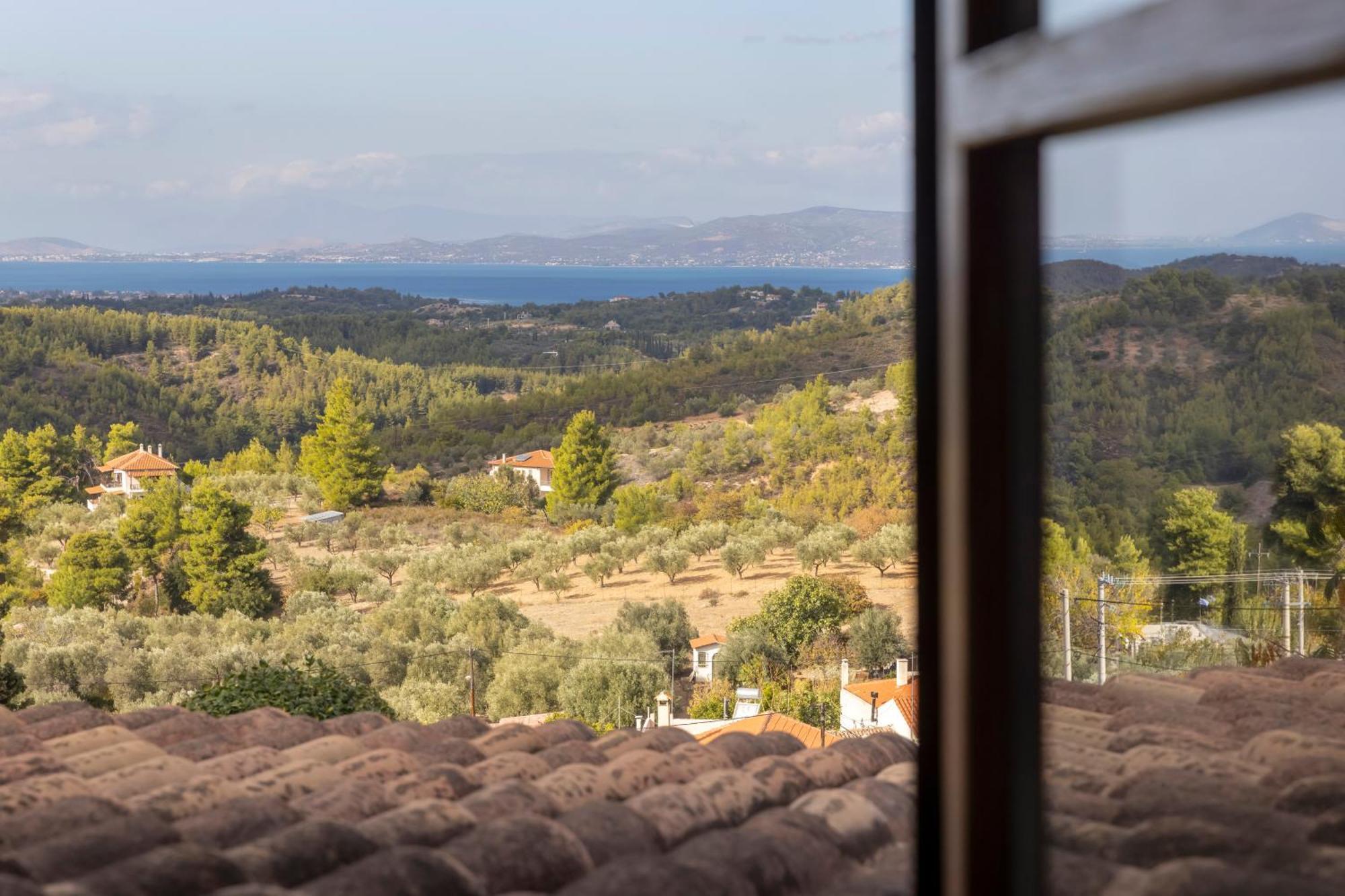 Villa Marrone Splendid Seaview Markopoulon Oropou Dış mekan fotoğraf